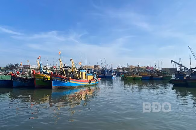 Huyện Phù Cát kiên quyết không để tàu cá không đủ điều kiện theo quy định ra khơi đánh bắt. Ảnh: N.N