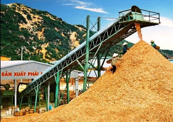 Một dây chuyền chế biến dăm gỗ xuất khẩu của PISICO.
