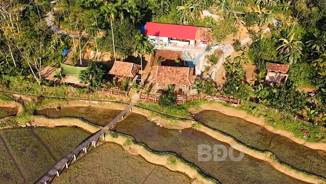 Một góc nông trại Ba Chua. Ảnh: HẢI YẾN