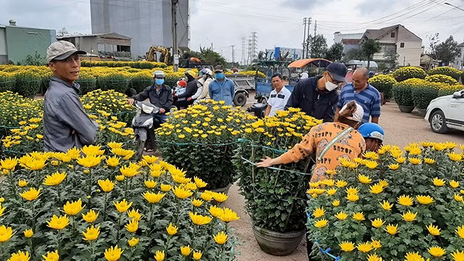 Đông đảo khách đến mua hoa Đông đảo khách đến mua hoa