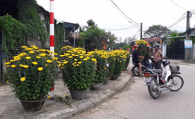 Những chậu hoa cuối cùng đang được vận chuyển về nhà vui tết, đón xuân cùng gia chủ. Những chậu hoa cuối cùng đang được vận chuyển về nhà vui tết, đón xuân cùng gia chủ.