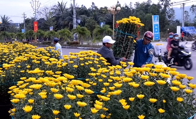 Người dân mua hoa chưng Tết. Người dân mua hoa chưng Tết.