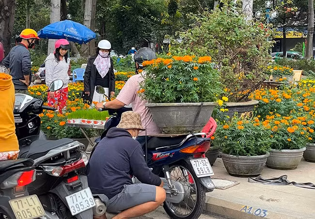 Chiều 30 tháng Chạp, nhiều chủ hàng tại chợ hoa xuân Quy Nhơn giảm giá để nhanh bán hết hàng về nhà đón Tết. Ảnh: LÊ CƯỜNG Chiều 30 tháng Chạp, nhiều chủ hàng tại chợ hoa xuân Quy Nhơn giảm giá để nhanh bán hết hàng về nhà đón Tết. Ảnh: LÊ CƯỜNG