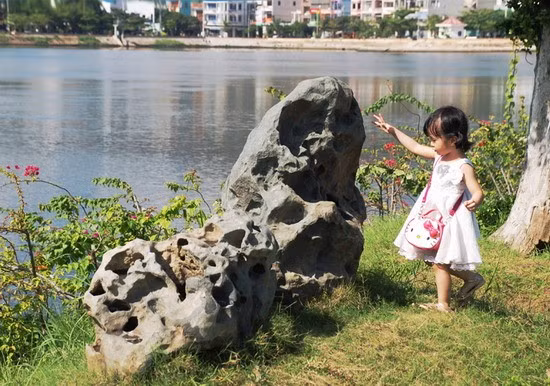 Đá tiểu cảnh được đặt quanh bờ hồ.