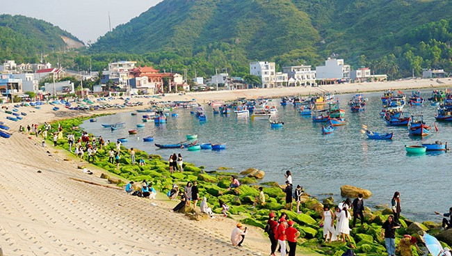 Du khách tham quan làng chài, check-in bãi rêu xanh ven biển. Ảnh: D. CÔNG Du khách tham quan làng chài, check-in bãi rêu xanh ven biển. Ảnh: D. CÔNG