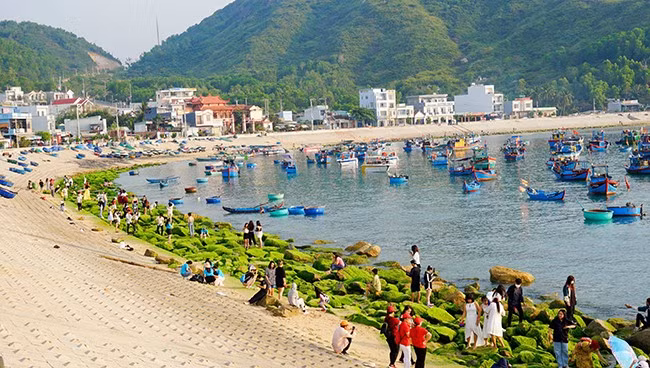Du khách tham quan làng chài, check-in bãi rêu xanh ven biển. Ảnh: D. CÔNG Du khách tham quan làng chài, check-in bãi rêu xanh ven biển. Ảnh: D. CÔNG
