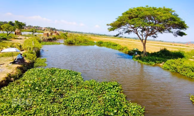 Câu cá thư giãn ở khối Thuận Nghĩa.