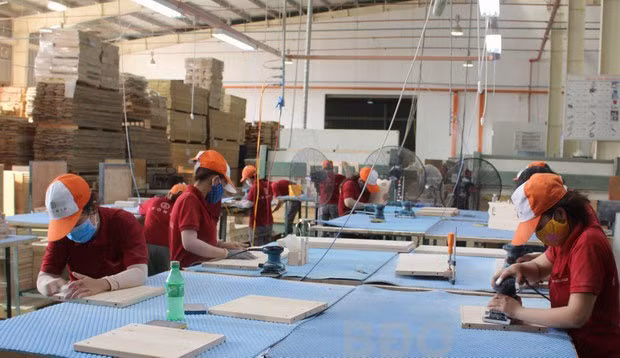 Hoạt động sản xuất đồ gỗ xuất khẩu của Công ty Marubeni Lumber (100% vốn Nhật Bản) tại KCN A - Nhơn Hội.