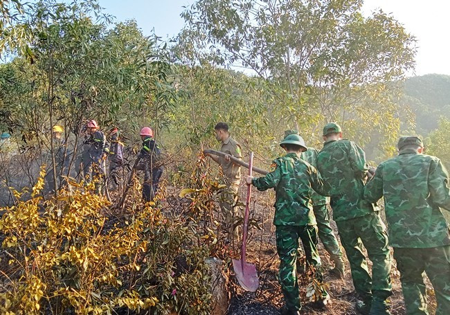 Các lực lượng đã kịp thời dập tắt đám cháy trên núi Bà Hỏa. Ảnh: C.CƯỜNG