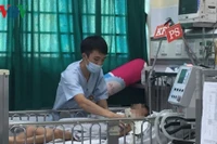Bệnh viêm não virus, sốt xuất huyết và liên cầu lợn gia tăng