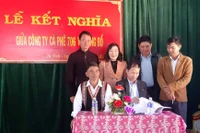 Công ty Cà phê 706 kết nghĩa với làng Bồ