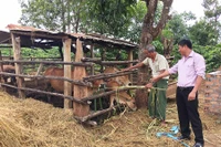 Hỗ trợ chuồng trại để hoàn thành tiêu chí môi trường