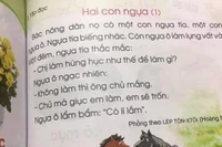 Bộ GD-ĐT đề nghị Hội đồng thẩm định rà soát sách giáo khoa tiếng Việt lớp 1
