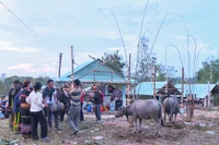 Trải nghiệm lễ bỏ mả của người Jrai