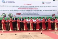 DOVECO Gia Lai: Khẳng định thương hiệu trên thị trường thế giới