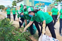 Pleiku ra quân thu gom rác thải tại khu vực công cộng