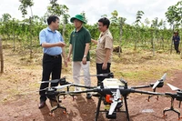 Ứng dụng khoa học-công nghệ: "Chìa khóa" của nền nông nghiệp hiện đại