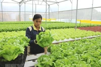 'Thủ phủ' du lịch canh nông Lâm Đồng tạm dừng chấp thuận dự án mới