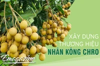 Xây dựng thương hiệu nhãn Kông Chro