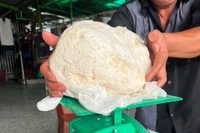 Ngư dân vớt được vật nghi là long diên hương quý hiếm