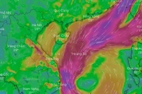 Dự báo diễn biến bão, áp thấp nhiệt đới trong một tháng tới