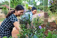 Về thăm thôn "Phụ nữ kiểu mẫu"