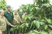 Cựu chiến binh Chư Prông: Giúp nhau làm giàu
