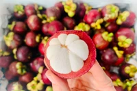 Măng cụt có thể bảo vệ cơ thể chống lại sự phát triển của ung thư