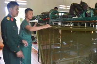 Thay đổi thói quen để trưởng thành