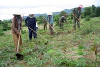 Ia Pa: Răn đe, ngăn chặn đối tượng cho vay "tín dụng đen"