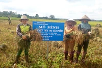 Ia Grai phát huy hiệu quả Quỹ hỗ trợ nông dân