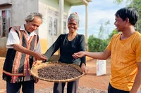 Ngày mới ở làng Dơ Nông Ó