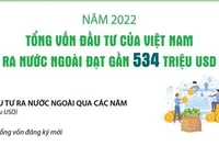 Việt Nam đầu tư ra nước ngoài đạt gần 534 triệu USD trong năm 2022