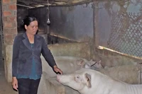 Pleiku chú trọng giảm nghèo trong vùng dân tộc thiểu số