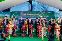Khánh thành cụm nhà máy điện gió lớn nhất Gia Lai