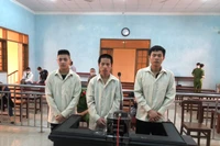 Lãnh án vì vận chuyển, tàng trữ trái phép vũ khí quân dụng