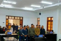 11 đối tượng lãnh án vì khai thác trái phép hơn 77 m3 gỗ