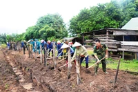 Tuổi trẻ Binh đoàn 15 thi đua chào mừng Đại hội Đảng