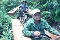 Vì sao vùng giáp ranh Gia Lai-Đắk Lắk-Phú Yên thành điểm nóng phá rừng?