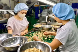 Gia Lai thành lập Tổ công tác tháo gỡ vướng mắc các dự án đầu tư ngoài ngân sách
