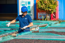 Đấu giá quyền sử dụng đất thực hiện dự án Trung tâm trưng bày cà phê chất lượng cao tại phường Hội Phú