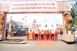 Gia Lai “đánh thức” giá trị cà phê đặc sản, lan tỏa sản phẩm OCOP từ không gian trải nghiệm