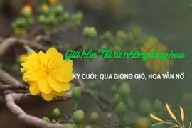 Giữ hồn Tết từ những làng hoa.