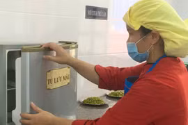 Gia Lai tăng cường kiểm tra, bảo đảm an toàn thực phẩm tại bếp ăn tập thể.