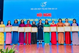 Hội LHPN tỉnh Gia Lai sẽ tổ chức nhiều hoạt động thiết thực, hướng về cơ sở.