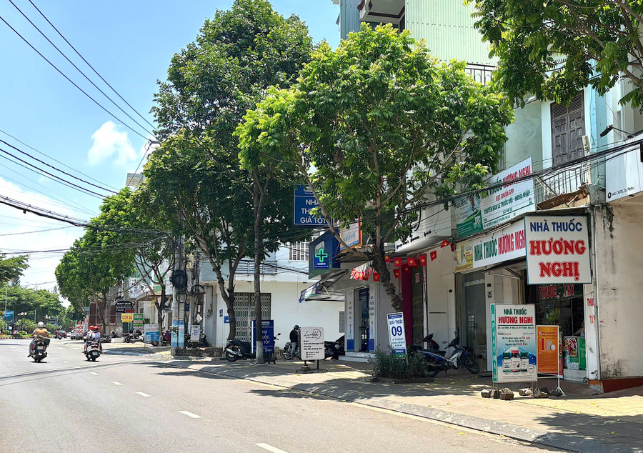Thời gian giải quyết TTHC cấp lại giấy chứng nhận đủ điều kiện kinh doanh dược thuộc thẩm quyền của Sở Y tế chỉ còn 10 ngày (giảm 5 ngày so với trước khi cắt giảm). Ảnh: M.T z6573154195391-756da9eed43ceb32c7919fc67d58b41c.jpg