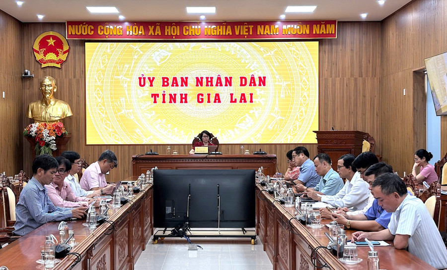 Quang cảnh hội nghị tại điểm cầu tỉnh Gia Lai. Ảnh: X.Đ hoi-nghi-truc-tuyen-voi-34-tinh-thanh-pho-trong-ca-nuoc-de-danh-gia-ket-qua-thuc-hien-cong-tac-pbgdpl.jpg
