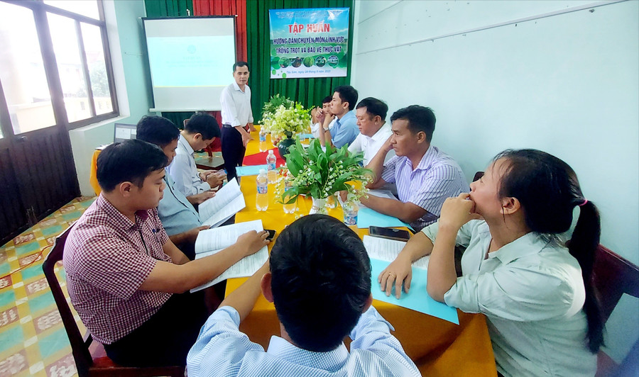 Quang cảnh hội nghị tập huấn. Ảnh: V.P quang-canh-hoi-nghi-tap-huan-964.jpg