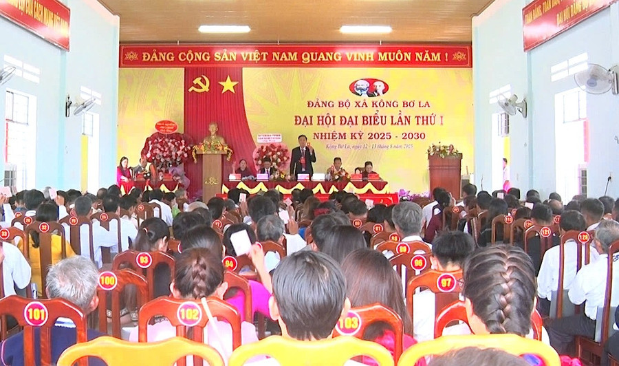 Quang cảnh Đại hội. Ảnh: H.N quang-cang-dai-hoi.jpg