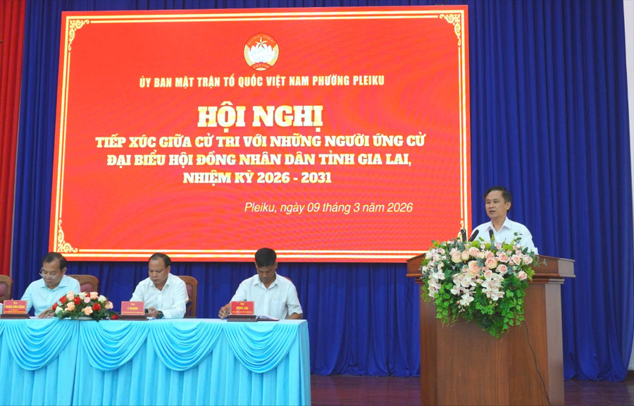 ong-nguyen-xuan-phuoc-tinh-uy-vien-chu-tich-hdnd-phuong-pleiku-trinh-bay-chuong-trinh-hanh-dong-1.jpg